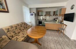 Casa individuala si trainica cu spatiu comercial, 350mp utili, Florilor-Craiter