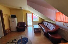 Casa individuala si trainica cu spatiu comercial, 350mp utili, Florilor-Craiter