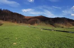 Vila turistica, 8525 mp, in Vama Buzaului