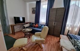 Casa 300 mp utili, 1000 mp curte, zona strazii Gruia