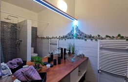 Casa 300 mp utili, 1000 mp curte, zona strazii Gruia
