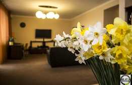 3 camere, 105 mp, imobil tip vila, zona strazii Gruia