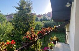 Casa individuala, 390 mp, 6 dormitoare, zona strazii Campului