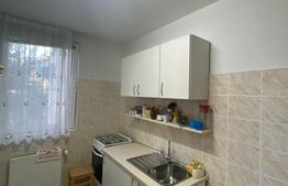 Casa individuala, 390 mp, 6 dormitoare, zona strazii Campului