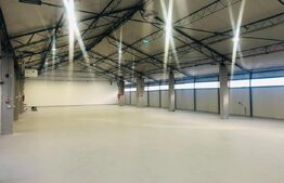 Hala 590 mp cu acces la rampa 