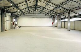 Hala 590 mp cu acces la rampa 