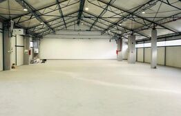 Hala 590 mp cu acces la rampa 