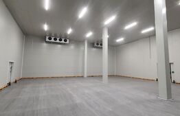 Hala frigorifica - 25 de grade, 600 mp, zona Muncii 