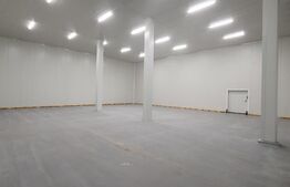 Hala frigorifica - 25 de grade, 600 mp, zona Muncii 