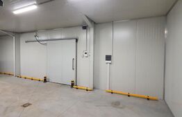 Hala frigorifica - 25 de grade, 600 mp, zona Muncii 