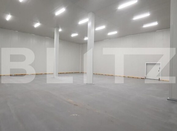 Spațiu industrial de închiriat Iris - 148028SII | BLITZ Cluj-Napoca | Poza2