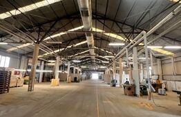 Hala cu potential pentru orice tip de activitate 