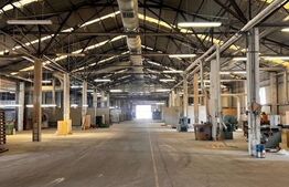 Hala cu potential pentru orice tip de activitate 