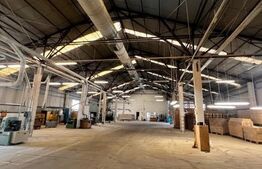 Hala cu potential pentru orice tip de activitate 