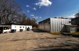 Hala cu potential pentru orice tip de activitate 