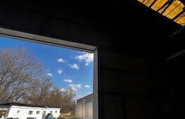 Hala cu potential pentru orice tip de activitate 