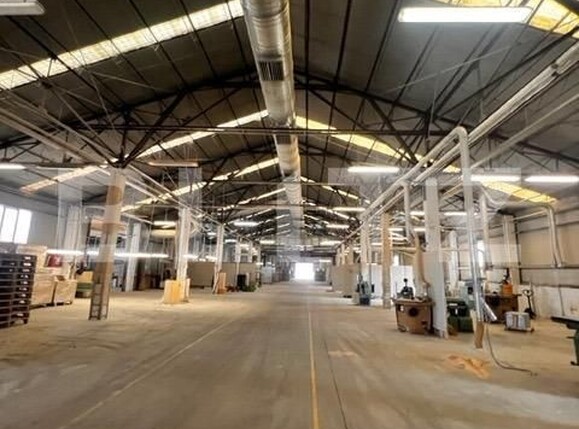 Spațiu industrial de închiriat Baciu - 148029SII | BLITZ Cluj-Napoca | Poza2