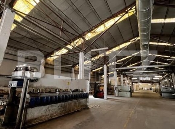 Spațiu industrial de închiriat Baciu - 148029SII | BLITZ Cluj-Napoca | Poza5