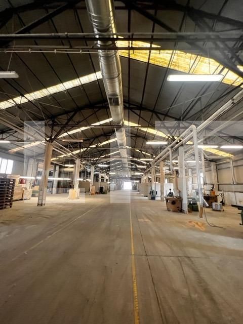 Spațiu industrial de închiriat Baciu - 148029SII | BLITZ Cluj-Napoca | Poza2