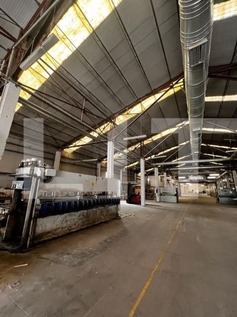 Spațiu industrial de închiriat Baciu - 148029SII | BLITZ Cluj-Napoca | Poza5