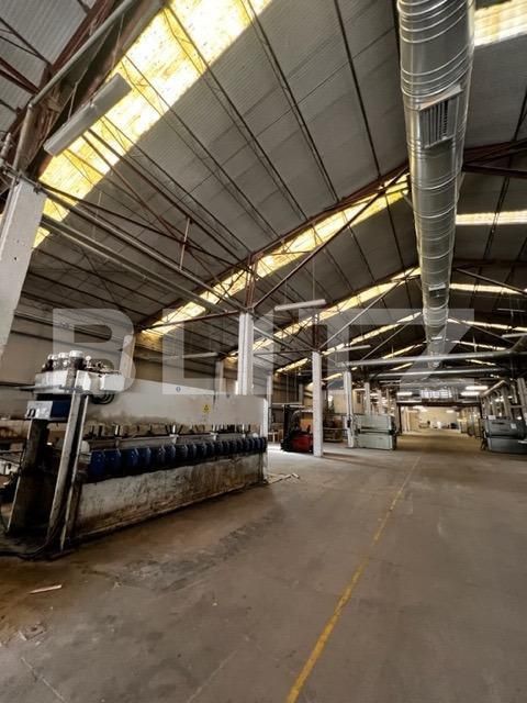 Spațiu industrial de închiriat Baciu - 148029SII | BLITZ Cluj-Napoca | Poza5