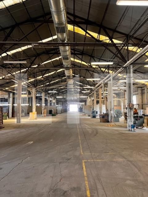 Spațiu industrial de închiriat Baciu - 148029SII | BLITZ Cluj-Napoca | Poza1