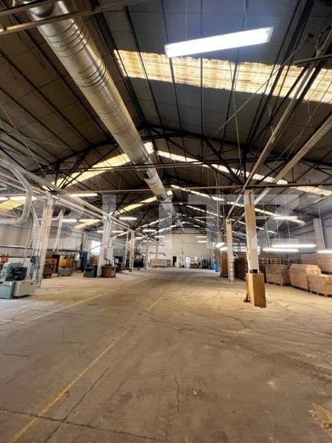 Spațiu industrial de închiriat Baciu - 148029SII | BLITZ Cluj-Napoca | Poza3