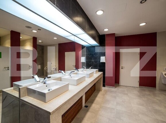 Spațiu birouri de închiriat Grigorescu - 148055SIB | BLITZ Cluj-Napoca | Poza8