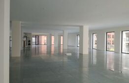 Spațiu birouri de închiriat Zorilor - 157448SIB | BLITZ Cluj-Napoca | Poza4