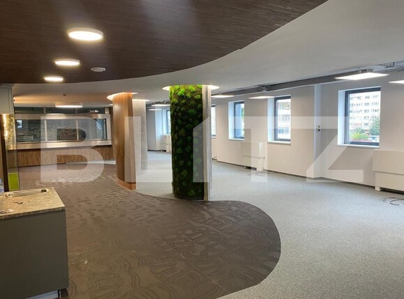 Spațiu birouri de închiriat Marasti - 148063SIB | BLITZ Cluj-Napoca | Poza2