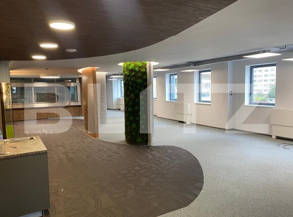 Spațiu birouri de închiriat Marasti - 148063SIB | BLITZ Cluj-Napoca | Poza2