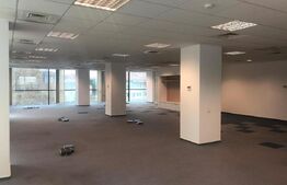 Office top class, 600 m2