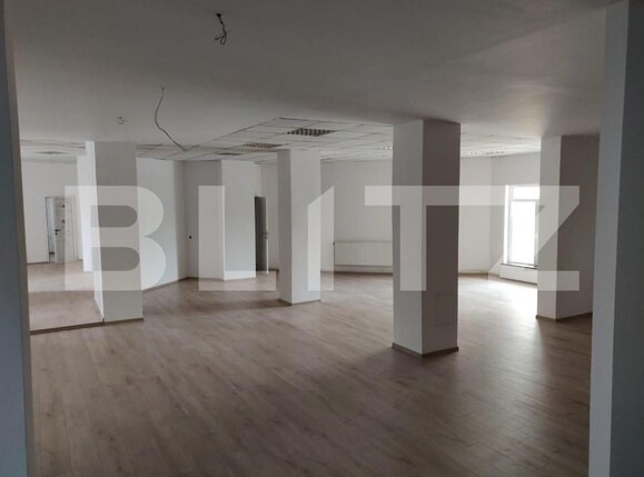 Spațiu birouri de închiriat Central - 148067SIB | BLITZ Cluj-Napoca | Poza1