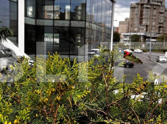 Spațiu comercial de vânzare Marasti - 148084SVC | BLITZ Cluj-Napoca | Poza7