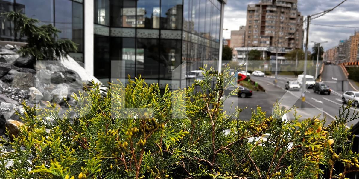 Spațiu comercial de vânzare Marasti - 148084SVC | BLITZ Cluj-Napoca | Poza7