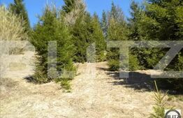 Proiect de 5* la Belis, PUD aprobat