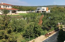 Teren intravilan 974 mp, zona dezvoltata de case, Dambu Rotund !