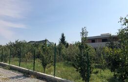 Teren intravilan 974 mp, zona dezvoltata de case, Dambu Rotund !