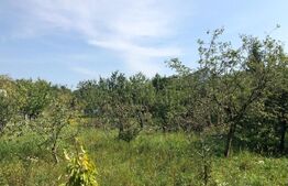 Teren intravilan 974 mp, zona dezvoltata de case, Dambu Rotund !