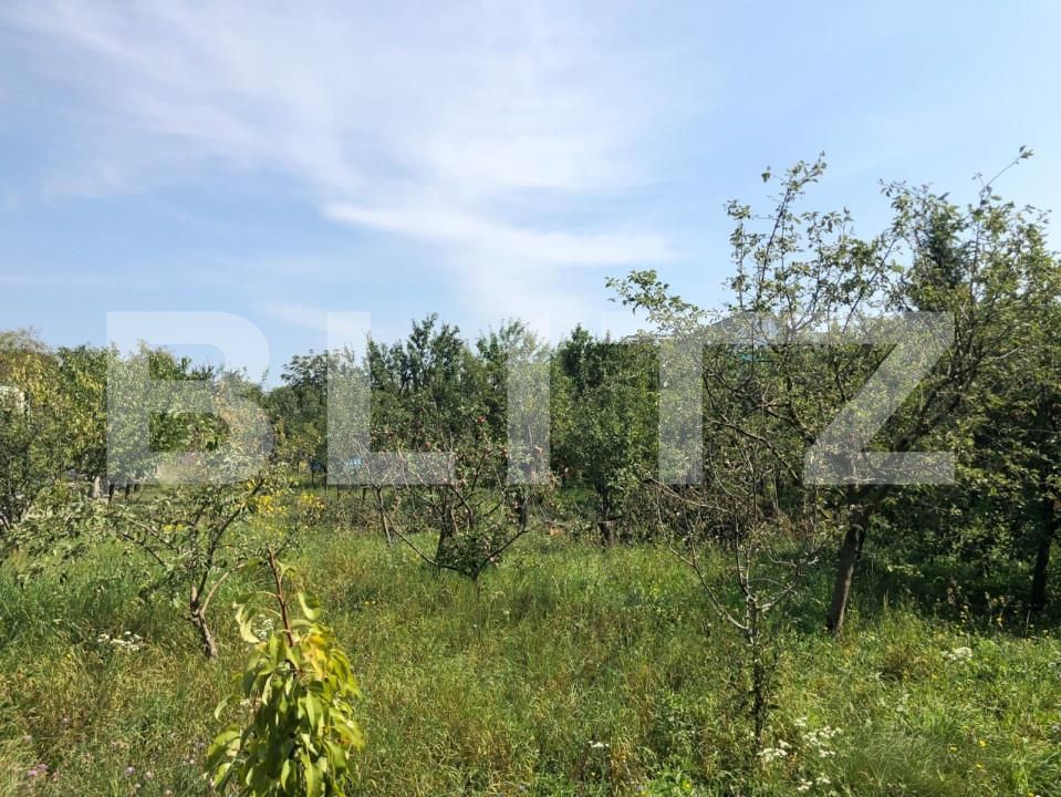 Teren de vânzare Dambul Rotund - 148169TV | BLITZ Cluj-Napoca | Poza3