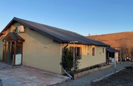 Casa individuala finisata, 290 mp utili ,2700 mp teren, front 18ml, Filea de Jos