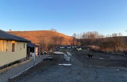 Casa individuala finisata, 290 mp utili ,2700 mp teren, front 18ml, Filea de Jos