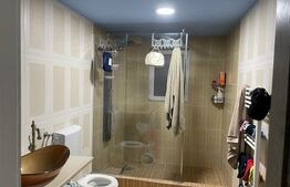 Casa individuala finisata, 290 mp utili ,2700 mp teren, front 18ml, Filea de Jos