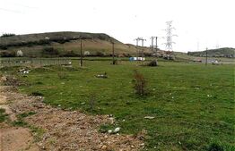 Teren Intravilan pentru constructii hale 7186 mp, zona centurii Emerson