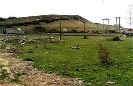 Teren Intravilan pentru constructii hale 7186 mp, zona centurii Emerson