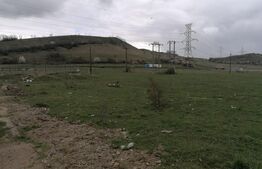 Teren Intravilan pentru constructii hale 7186 mp, zona centurii Emerson