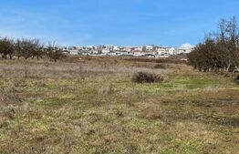 Teren Intravilan Voronet 1000mp