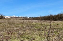 Teren Intravilan Voronet 1000mp