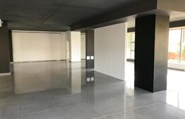 Spatiu ideal activitate medicala sau showroom, 230 mp, Zorilor