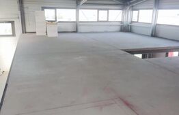 Spatiu industrial, hala 465 mp cu spatiu de birou inclus si acces tir, teren 1000 mp - zona Triaj